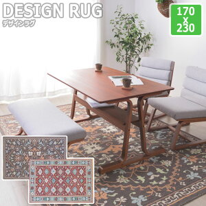 ANTIQUE DESIGN RUG �A���e�B�[�N�f�U�C�����O 170x230cm