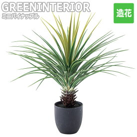 楽天市場 ミニパイナップル 花 観葉植物 花 ガーデン Diy の通販