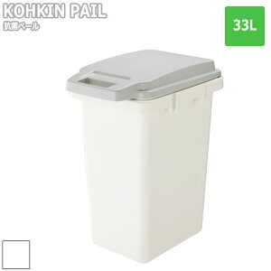 KOKIN PAIL Rۃy[ 33L