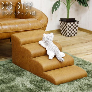 DOG STEP ybgpXebv 4i