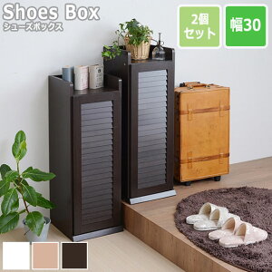 [o[V[Y{bNX 30cm 2g