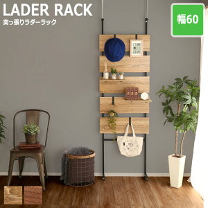 Escala GXJ[ ˂ؔ_[bN 60cm