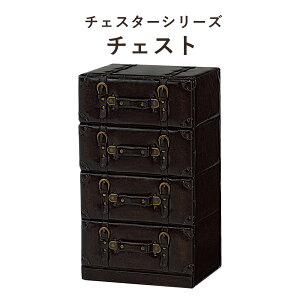 ChesterSeries `FX^[V[Y `FXg 41×72cm