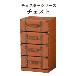 ChesterSeries `FX^[V[Y `FXg 41×72cm