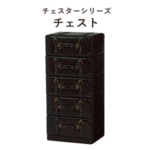 ChesterSeries `FX^[V[Y `FXg 41×89cm