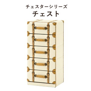 ChesterSeries `FX^[V[Y `FXg 41×89cm