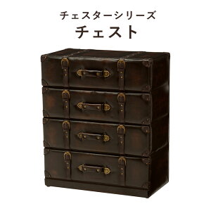 ChesterSeries `FX^[V[Y `FXg 61×72cm