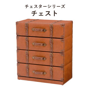 ChesterSeries `FX^[V[Y `FXg 61×72cm