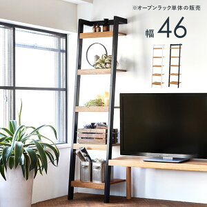Wall Rack �ǖʃI�[�v�����b�N ��46cm
