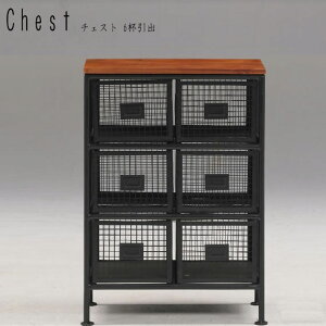 ienowa �C�G�m�� �`�F�X�g 6�t���o