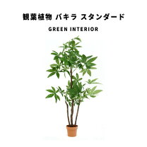 楽天市場】バキラの通販