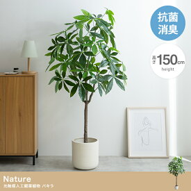 Nature 光触媒人工観葉植物 パキラ 高さ150cm