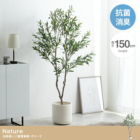 Nature 光触媒人工観葉植物 オリーブ 高さ150cm