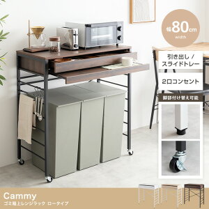 Cammy S~ヌWbN [^Cv 80cm