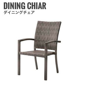 Lazy ���C�W�[ �_�C�j���O�`�F�A