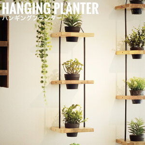 HangingPlanter nMOv^[ 3i