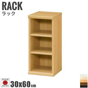 Tetrix egbNX J[bN 30cmx60cm