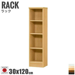 Tetrix egbNX J[bN 30cmx120cm