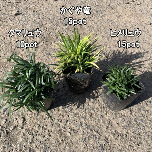 ◳15pot@qE15pot ʗ10pot̂ZbgyzJOEEPEʗ@OhJo[@@}yz