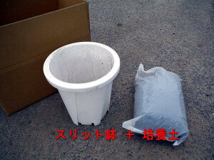 10Xbg  12L|{y ̃Zbgyz