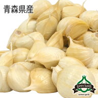新物 予約販売 青森県産 にんにく バラ 200g 300g 500g 800g 上級品 農家直送 ホワイト六片 送料無料 こ…