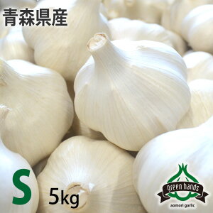 V ɂɂ XY ㋉i S 5kgi1kg×5j zCgZ jjN Y YҒ \̔