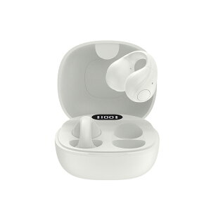 CXCz GH-OWSB C[Jt^ ANZT[ 6ԘAĐ Bluetooth5.3 h IPX4 CtH I[vC[ Ў y AVX^g IV Ȃ璮  PR01 O[n