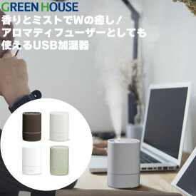 【6月1日限定ポイント2倍】 超音波 USB加湿器 おしゃれ 加湿器 GH-UAHA アロマ 小型 卓上 保湿 乾燥対策 コンパクト 静音 省エネ 加湿機 オフィス ミスト リビング ダイニング キッチン 寝室 グリーンハウス