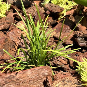 EmqQiWmqQjy5z 9cm|bgyOhJo[zʗvIS҂SȒÂA