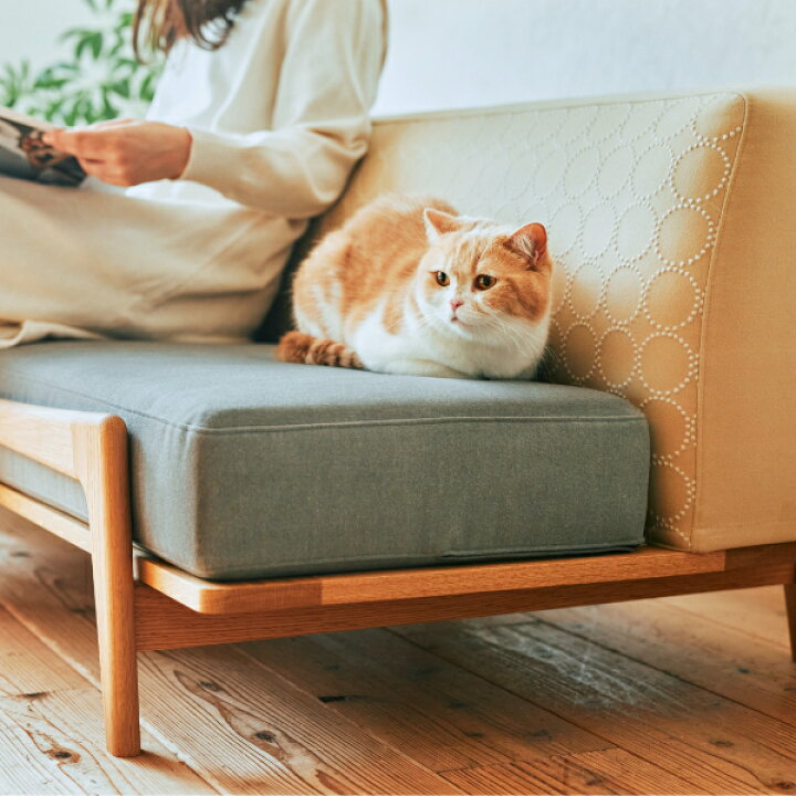 楽天市場】Luu sofa Cat Life model | ローソファ ペット ペット向け 