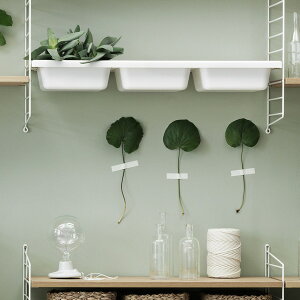 y{㗝XzString XEF[f Bowl Shelf | {EVFt gC Ǌ|[ [ [Ƌ k kƋ kCeA [{bNX