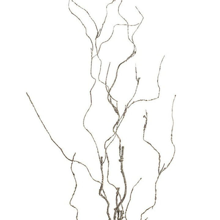 楽天市場】人工観葉植物 ローリング ツイッグ 全長1.0m 3本セット 枝もの 枝物 ブランチ 造花 人工樹木 アーティフィシャルフラワー 花材  フラワーアレンジメント ディスプレイ 装飾 (k-2239) : グリーンランド