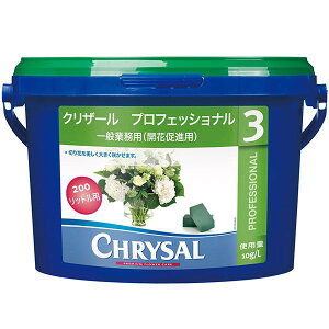 観葉植物 切り花の人気商品 通販 価格比較 価格 Com 観葉植物 切り花の人気商品 通販 価格比較 価格 Com