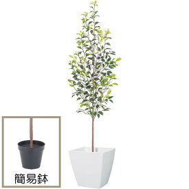 楽天市場 人工樹木 屋外用の通販