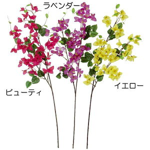 花 ブーゲンビリアの人気商品 通販 価格比較 価格 Com 花 ブーゲンビリアの人気商品 通販 価格比較 価格 Com