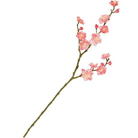 楽天市場 ひな祭り 桃 アレンジメントの通販