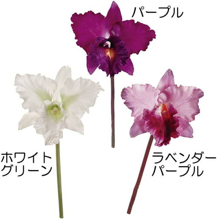 楽天市場 造花 カトレア 全長25cm 4本セット ラン ヒノデラン 蘭 ラン科 人工観葉植物 アーティフィシャルフラワー 花材 フラワーアレンジメント ディスプレイ 装飾 冠婚葬祭 グリーンランド