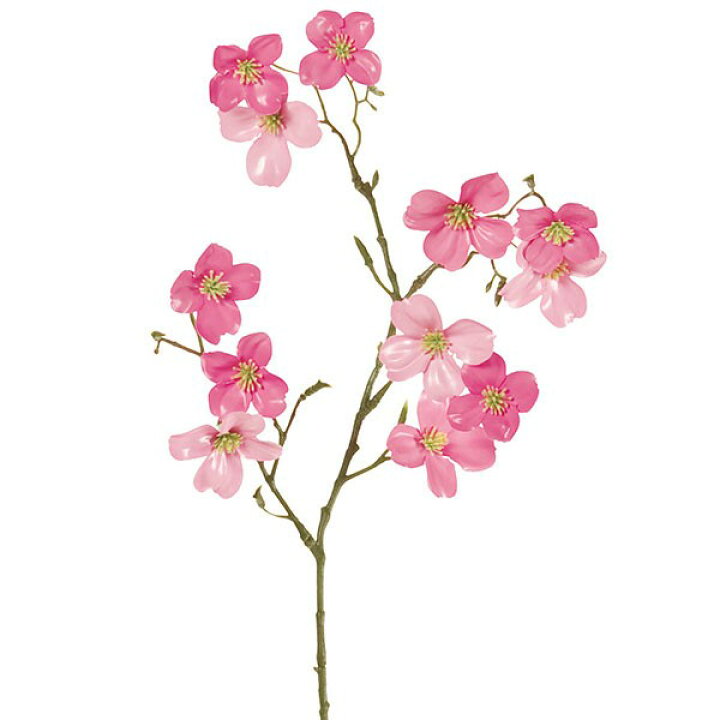楽天市場 造花 花みずき 全長68cm 2本セット ハナミズキ 花水木 アメリカヤマボウシ 人工観葉植物 アーティフィシャルフラワー 花材 フラワーアレンジメント ディスプレイ 装飾 空間演出 グリーンランド