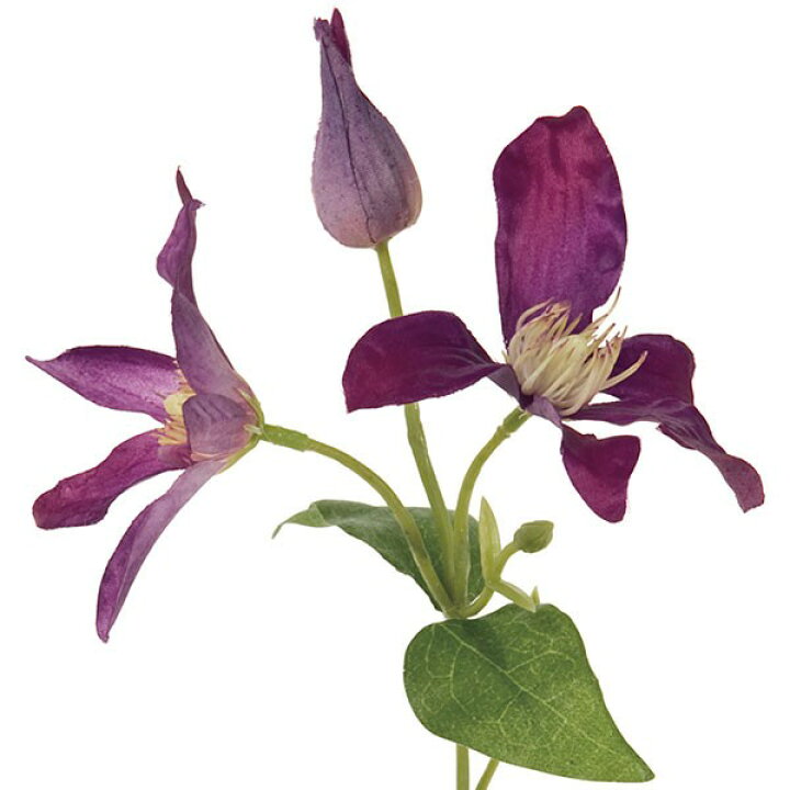 楽天市場 造花 クレマチス 全長25cm 5本セット 鉄線 テッセン つる性植物 ツル 人工観葉植物 アーティフィシャルフラワー 花材 フラワーアレンジメント ディスプレイ 装飾 和風演出 グリーンランド