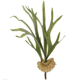 【フェイクグリーン】おしゃれ スタッグホーン 全長63cm 2本セット 造花 アーティフィシャルフラワー 花材 葉材 グリーン材 リーフ フラワーアレンジメント ディスプレイ 装飾