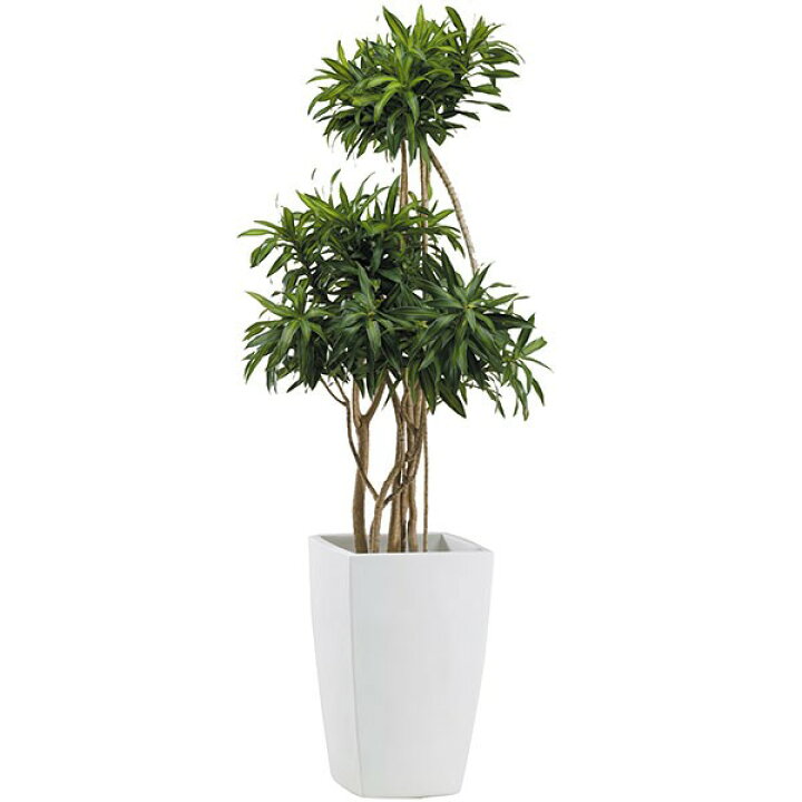 楽天市場 鉢カバー Frp製 アーバンポット Al32型 6 8号用 全高50cm 口32cm 底穴なし 軽量プランター 鉢 器 花器 ファイバーグラス 樹脂製 観葉植物用 グリーンランド 楽天市場 鉢カバー Frp製 アーバンポット Al32型 6 8号用 全高50cm 口32cm 底穴なし 軽量プランター 鉢 器 花器 ファイバーグラス 樹脂製 観葉植物用 グリーンランド