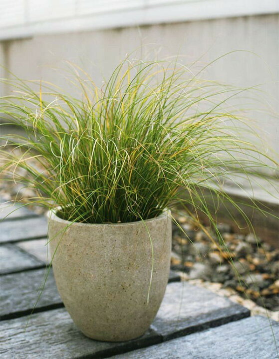 植木鉢 コーテス ラウンド 50型 17号 全高50cm×直径50cm 底穴あり セメント ファイバーグラス FRP プランター ポット 園芸 ガーデニング : グリーンランド 植木鉢 コーテス ラウンド 50型 17号 全高50cm×直径50cm 底穴あり セメント ファイバーグラス FRP プランター ポット 園芸 ガーデニング : グリーンランド