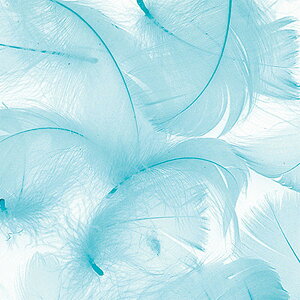 J[RL[ F  lC A[eBtBVt[  G CeAO[ tFCNO[ A[gt[ lHϗtA t[AWg ԍ  fBX