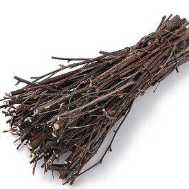 ドライ素材 小枝立ち木白樺バンドル 全長25cm 2個セット シラカバ シラカンバ バーチ 自然素材 天然素材 枝もの 枝 枝物 アレンジベース 花材 フラワーアレンジメント ディスプレイ 装飾