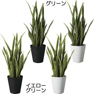 サンスベリア フェイクの人気商品 通販 価格比較 価格 Com サンスベリア フェイクの人気商品 通販 価格比較 価格 Com