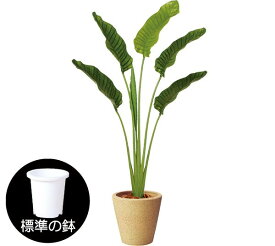 【フェイクグリーン】観葉植物 大型 おしゃれ ストレリチア ストレチア 全高160cm 人気 おすすめ リアル インテリアグリーン 造花 人工観葉植物 人工樹木 アートグリーン オブジェ 熱帯植物 オーガスタ トラベラーズパーム 新築祝い 開店祝い 室内 本物そっくり トロピカル