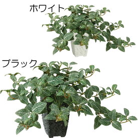 楽天市場 フェイクグリーン ハンギング 種類 植物 ベンジャミン 花 ガーデン Diy の通販