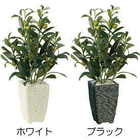 【フェイクグリーン】観葉植物 おしゃれ 小型 オリーブの木 オリーブの実 オリーブ インテリアグリーン 全高40cm インテリア 造花 人工観葉植物 人工樹木 緑 アートグリーン 人気 おすすめ リアル オブジェ 小さい 小さめ 室内 屋内 卓上サイズ テーブルサイズ 本物そっくり