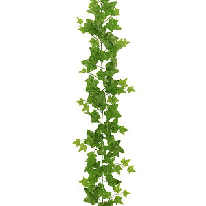 観葉植物 つたの人気商品 通販 価格比較 価格 Com