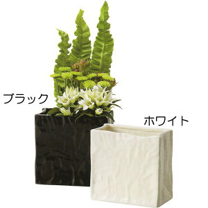 t[x[X  Ԋ Yi { lC   zCg ubN Z~bN CeA ԕr Ƌ ֑} u[P ԑ t[AWg IuWF Mtg v[g 